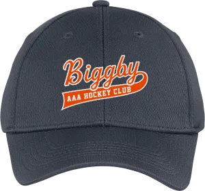 Biggby Coffee AAA Youth PosiCharge RacerMesh Cap